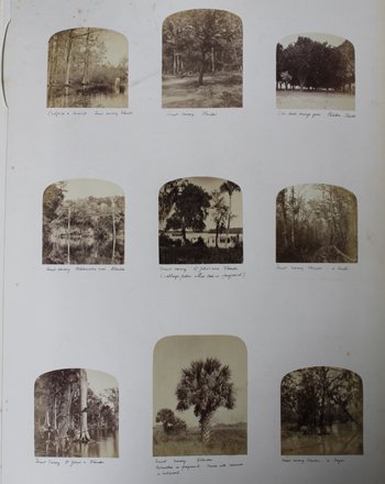 Sample page from lot 297 A LARGE 19TH CENTURY PHOTOGRAPH ALBUM OF A GRAND TOUR OF THE EAST COAST OF AMERICA AND CANADA, DATED IN PENCIL 1874-76 BY HOPE EDWARDS_ SOLD &pound;2,232.50